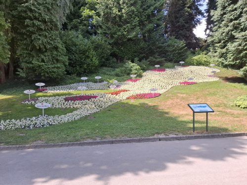 IMG-20250713-WA0018